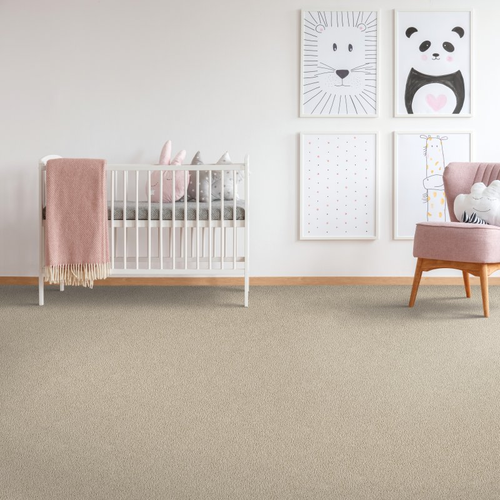 Builders Wholesale Finishes providing easy stain-resistant pet friendly carpet in Morrice, MI